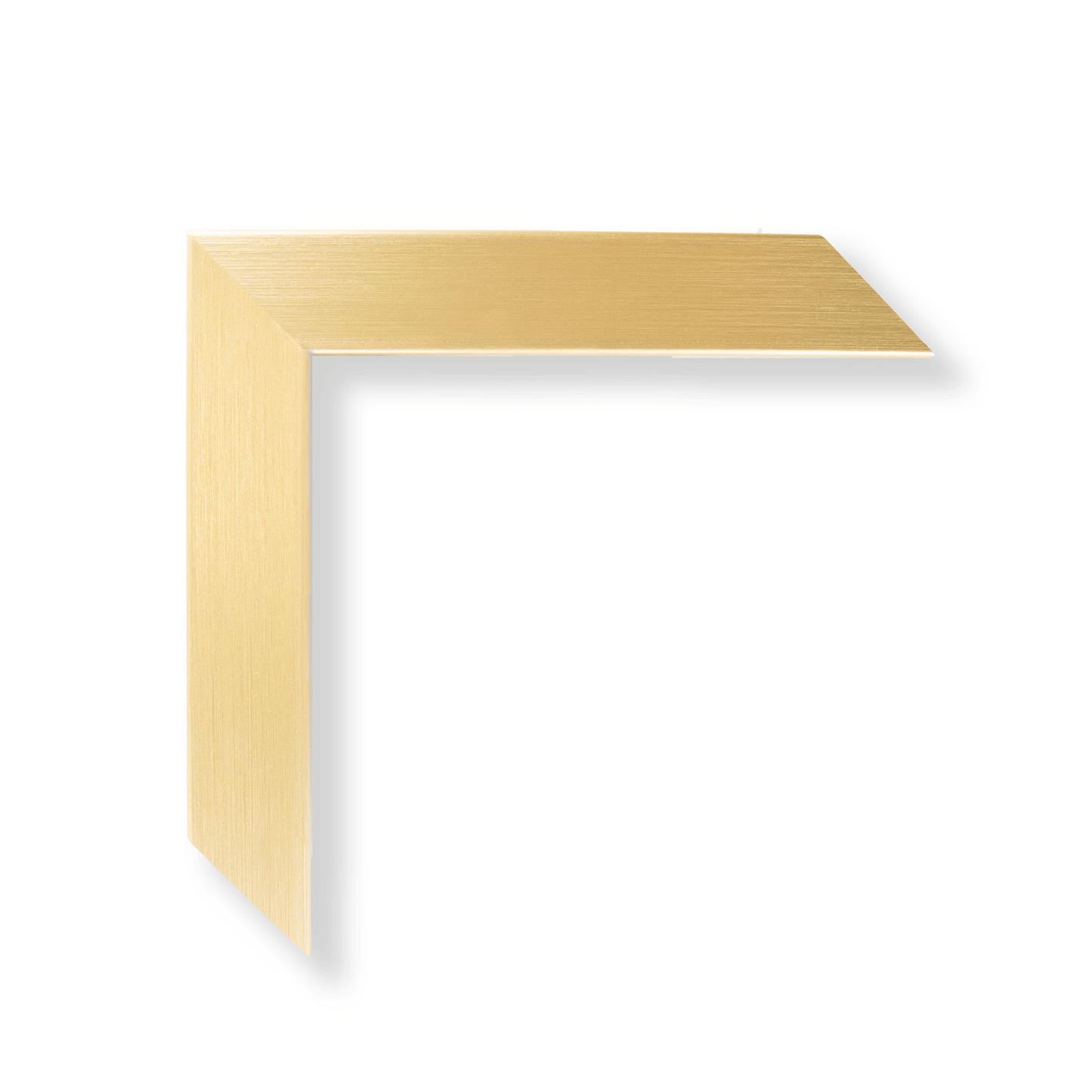 CUSTOMIZE with Brushed Gold Modern Gallery Frame