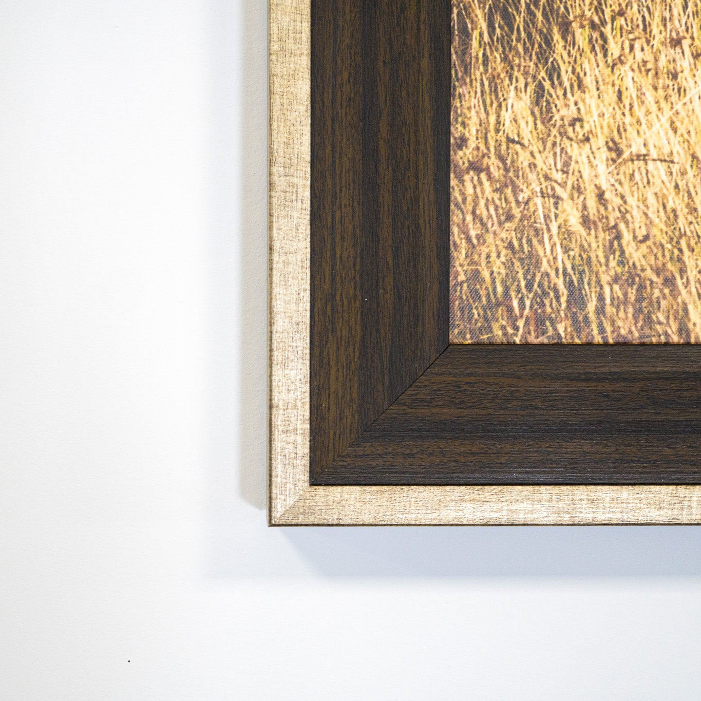 Frame Walnut & Champagne Vista Frame – Luxe Metallic Picture Frame
