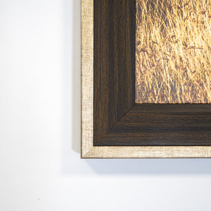 Frame Walnut & Champagne Vista Frame – Luxe Metallic Picture Frame